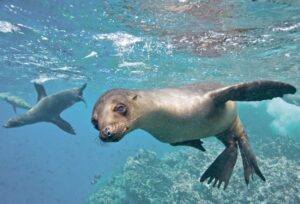12 Lugares Turísticos en Galápagos para Visitar