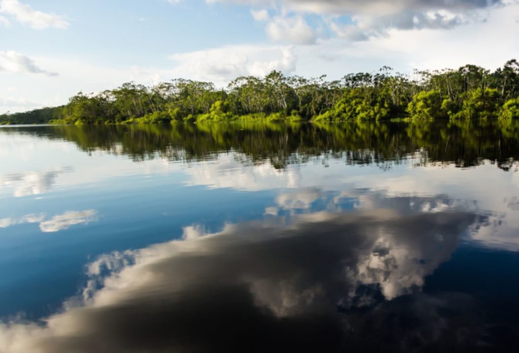 Reserva Nacional Pacaya Samiria