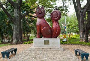 Gato del río - Lugares turísticos de Cali