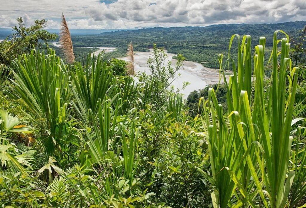 Parque Nacional Manu