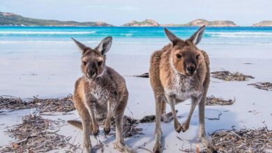 Requisitos para viajar a Australia