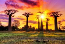Requisitos para viajar a Madagascar