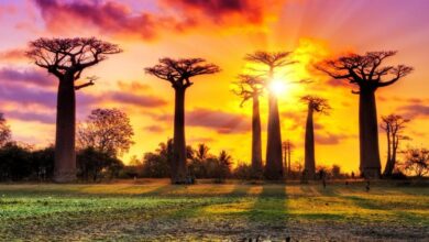 Requisitos para viajar a Madagascar