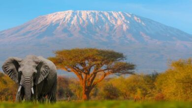 Requisitos para viajar a Tanzania