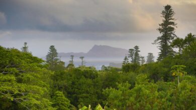 Requisitos pas viajar a la Islas Norfolk