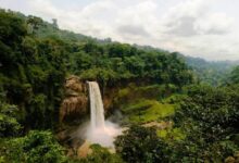 Requisitos para viaja a Camerun