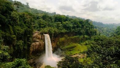 Requisitos para viaja a Camerun