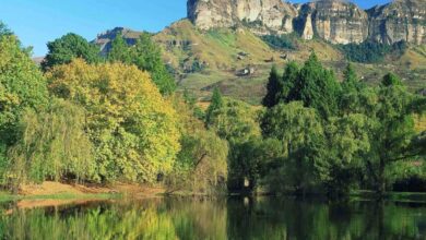 Requisitos para viaja a Congo