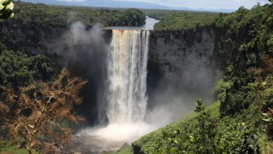 Requisitos para viaja a Guayana