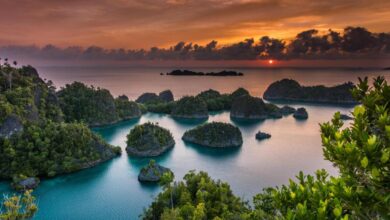 Requisitos para viaja a Guinea