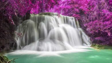 Requisitos para viajar a Zambia