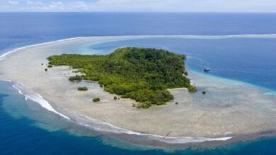 requisitos para viajar nueva guinea